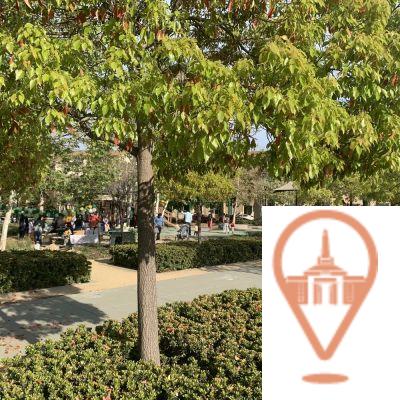 Los 10 mejores parques para hacer picnic en San José